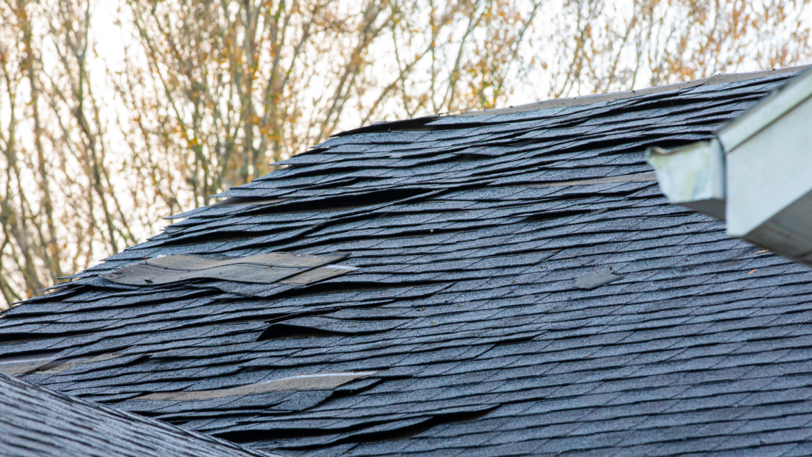 Emergency Roof Services